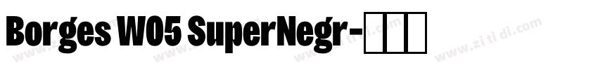 Borges W05 SuperNegr字体转换 Borges W05 SuperNegr字体转换